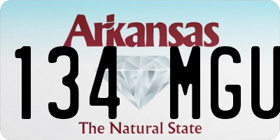 AR license plate 134MGU
