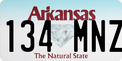 AR license plate 134MNZ
