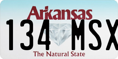 AR license plate 134MSX