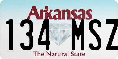 AR license plate 134MSZ