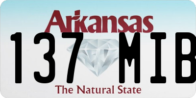 AR license plate 137MIB