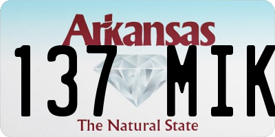 AR license plate 137MIK