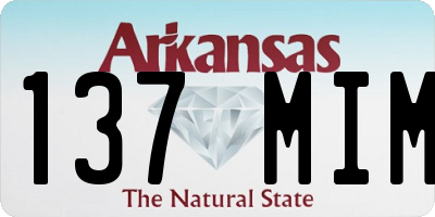 AR license plate 137MIM