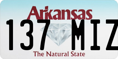 AR license plate 137MIZ
