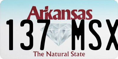 AR license plate 137MSX