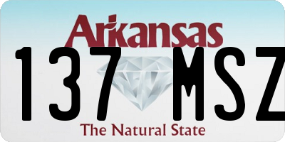 AR license plate 137MSZ