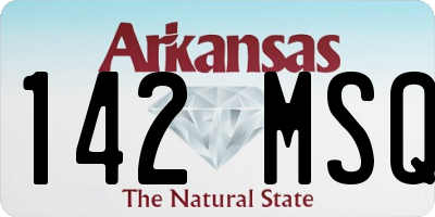 AR license plate 142MSQ