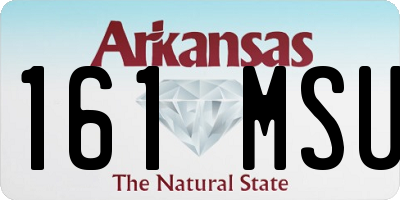 AR license plate 161MSU