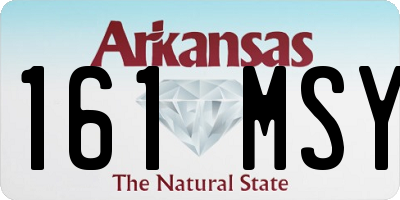 AR license plate 161MSY