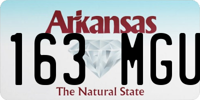 AR license plate 163MGU