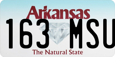 AR license plate 163MSU