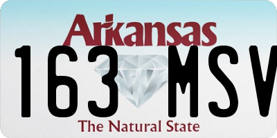 AR license plate 163MSV