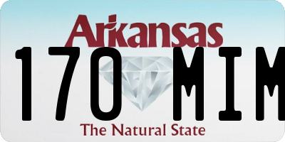 AR license plate 170MIM