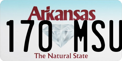 AR license plate 170MSU