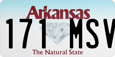 AR license plate 171MSV