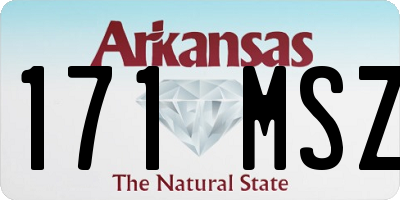 AR license plate 171MSZ