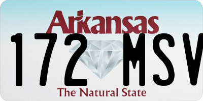 AR license plate 172MSV