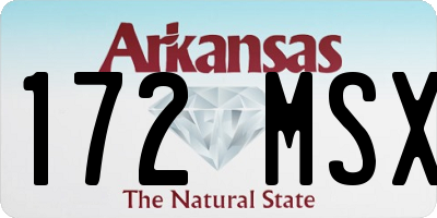 AR license plate 172MSX
