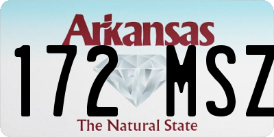 AR license plate 172MSZ