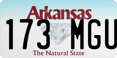 AR license plate 173MGU