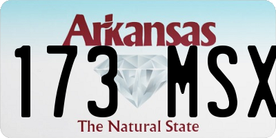 AR license plate 173MSX