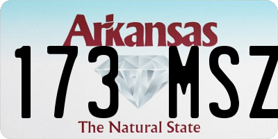 AR license plate 173MSZ