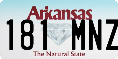 AR license plate 181MNZ
