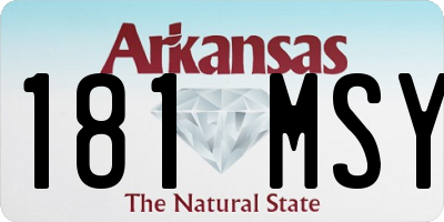 AR license plate 181MSY