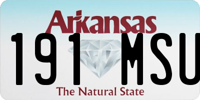 AR license plate 191MSU