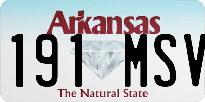 AR license plate 191MSV