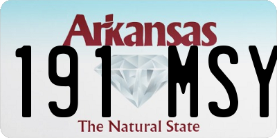 AR license plate 191MSY