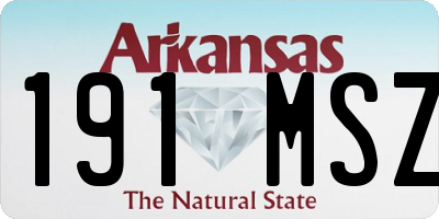 AR license plate 191MSZ