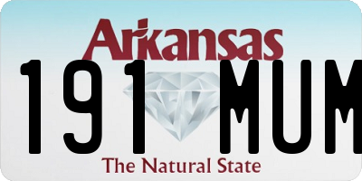 AR license plate 191MUM