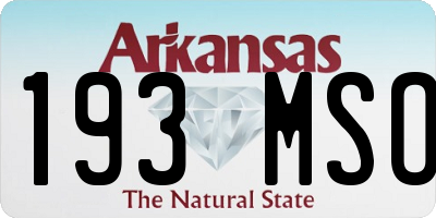 AR license plate 193MSO