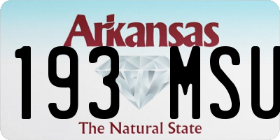 AR license plate 193MSU