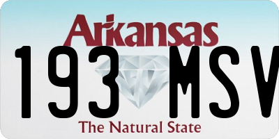 AR license plate 193MSV