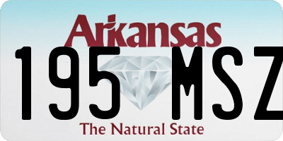 AR license plate 195MSZ
