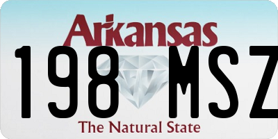 AR license plate 198MSZ