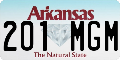 AR license plate 201MGM