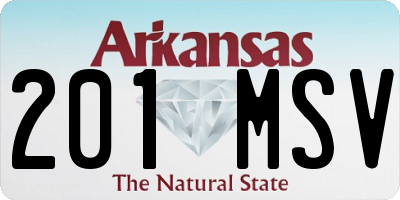 AR license plate 201MSV