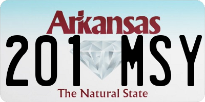 AR license plate 201MSY