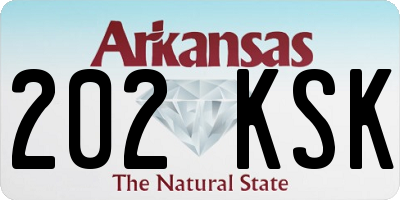 AR license plate 202KSK