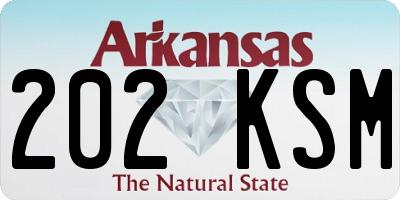 AR license plate 202KSM