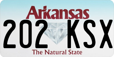 AR license plate 202KSX