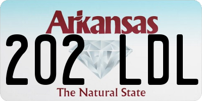 AR license plate 202LDL