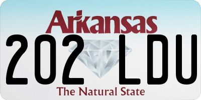 AR license plate 202LDU