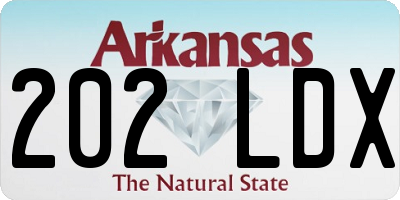 AR license plate 202LDX