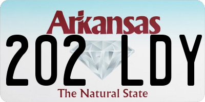 AR license plate 202LDY