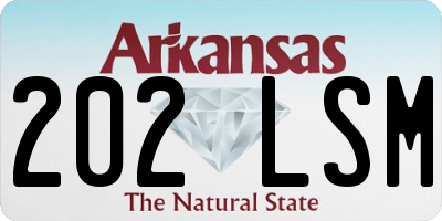 AR license plate 202LSM