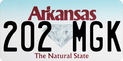AR license plate 202MGK